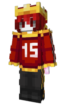 Minecraft skin Tomer_the_vikink