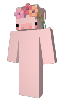 Minecraft skin rclm