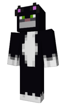 Minecraft скін по ніку tocat