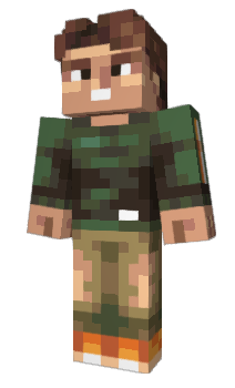 Minecraft skin aocc