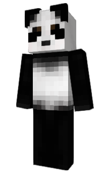 Minecraft skin kntr