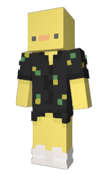 Minecraft skin _DUCKING