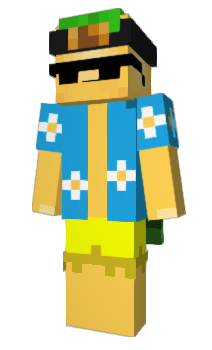 Minecraft skin The_Wironn