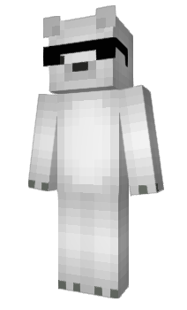 Minecraft skin Polar3