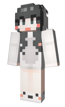 Minecraft skin Dameu