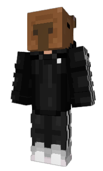 Minecraft skin ST4RL1NG_