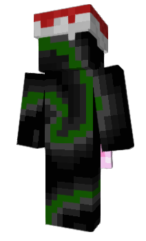 Minecraft skin D4WL
