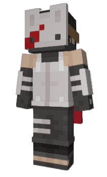 Minecraft скин по нику NinjasInParis