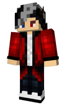 Minecraft skin EFEKA