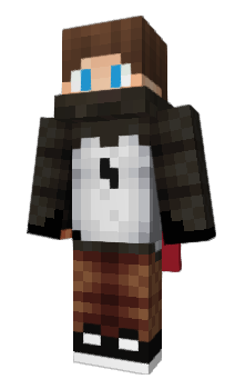 Minecraft skin Matchic