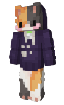 Minecraft skin INeDI