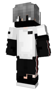 Minecraft skin xZenit