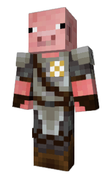 Minecraft skin PigRaid