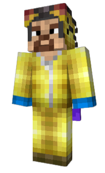 Minecraft skin F0xP24