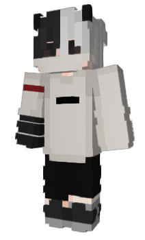 Minecraft skin DreamRK