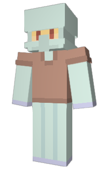 Minecraft skin wzv