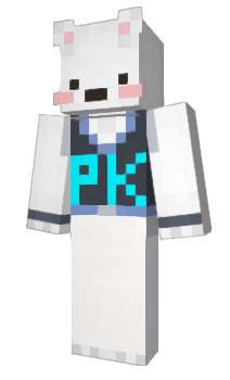 Minecraft skin baroPK