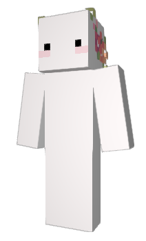 Minecraft skin choyao