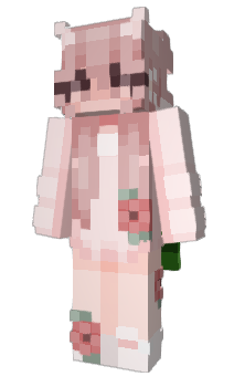 Minecraft skin Haam