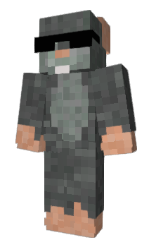 Minecraft skin Brooklecookie