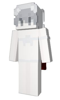 Minecraft skin digl