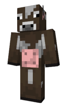 Minecraft skin u_s_