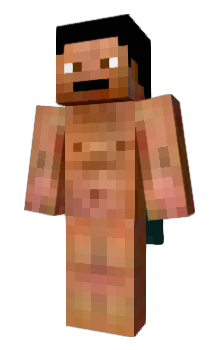 Minecraft skin panchjer