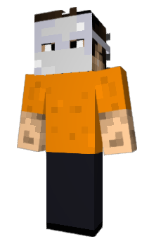 Minecraft skin _Ness