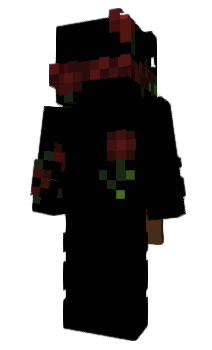 Minecraft скин по нику vDqrk