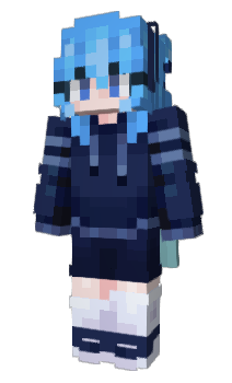Minecraft skin EJRC