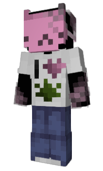 Minecraft скін по ніку Spark0leNight