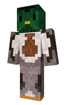 Minecraft skin signm