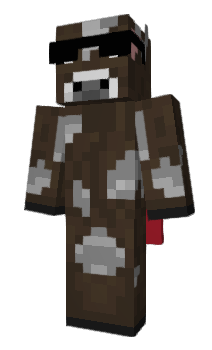 Minecraft skin _Skeppy