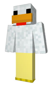 Minecraft skin Bnight