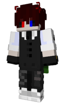 Minecraft skin HeroFR