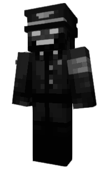 Minecraft skin VG_Herb