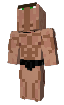 Minecraft skin mirotte