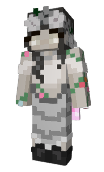 Minecraft skin svaz