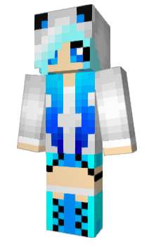 Minecraft skin tissous