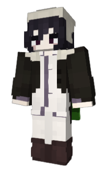 Minecraft skin PowerHarry