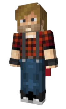 Minecraft skin Brokr