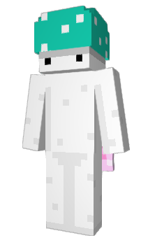 Minecraft skin Suoto