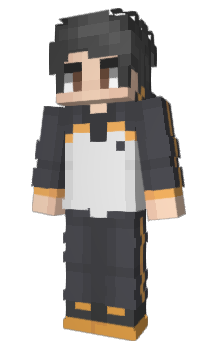 Minecraft skin _Pdr