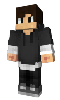 Minecraft skin Fortinet