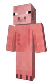 Minecraft skin SWCW