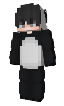 Minecraft skin pandakiwi