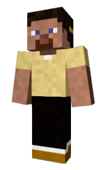 Minecraft skin TTwin
