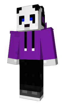 Minecraft skin NASA