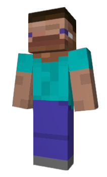 Minecraft skin elytrt