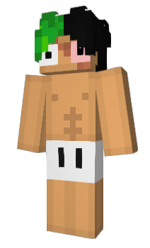 Minecraft skin Laccos